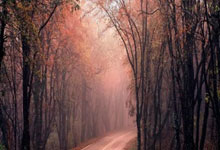 米兰：東亞足球錦標賽｜吳宇曦後備上陣稱「好奇妙」　韋斯活讚有潛質.