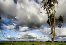 米兰：毫无意义的酒 · 10小时前.