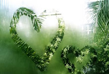 埃及宣布将于2月底举行阿拉伯国家紧急峰会 就巴勒斯坦问题进行磋商.