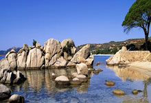 米兰：約基奇貢獻30分10板7助 威少拿下10分5助 塞克斯頓轟下26分 掘金輕松戰勝爵士.